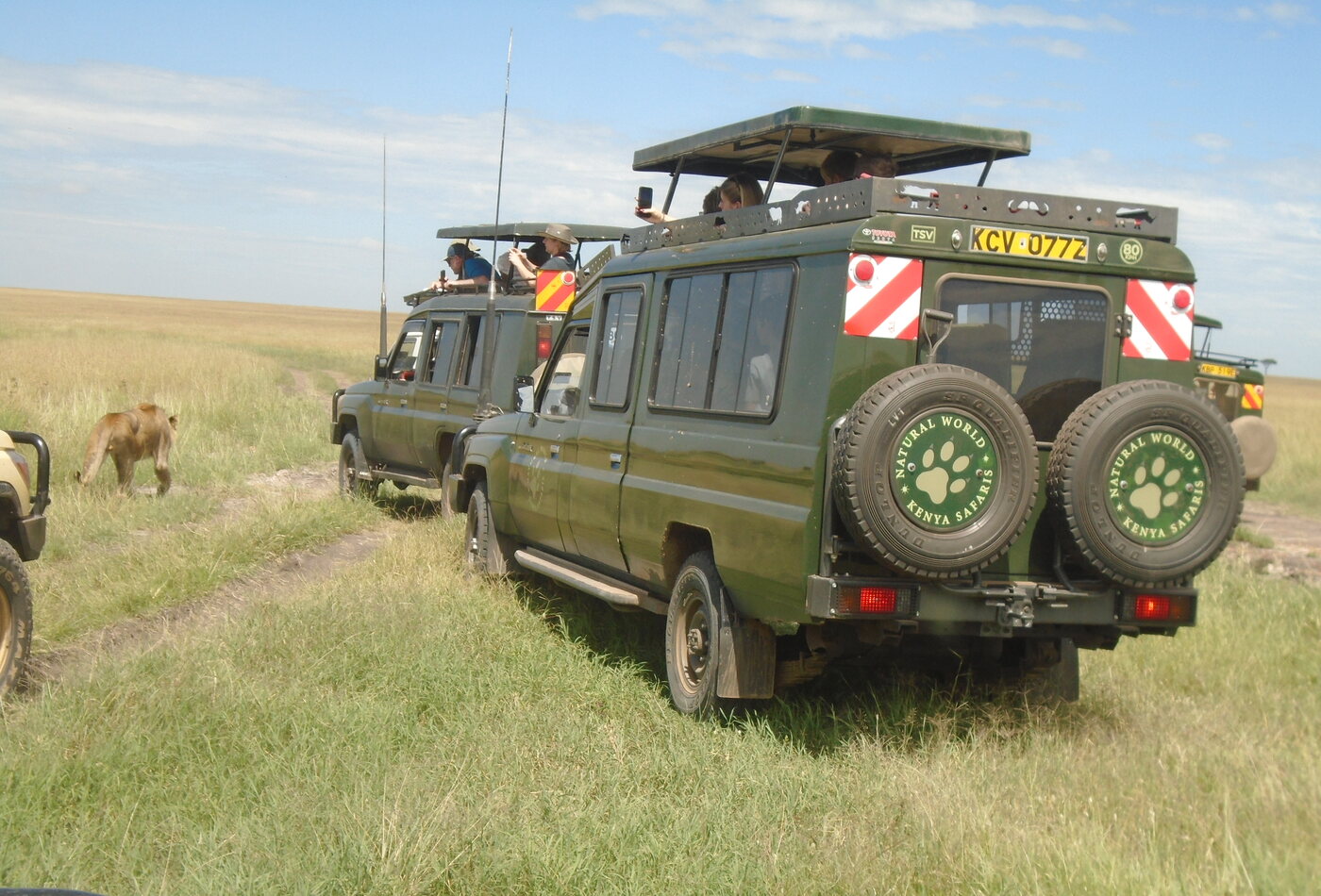Masai Mara safari Kenya