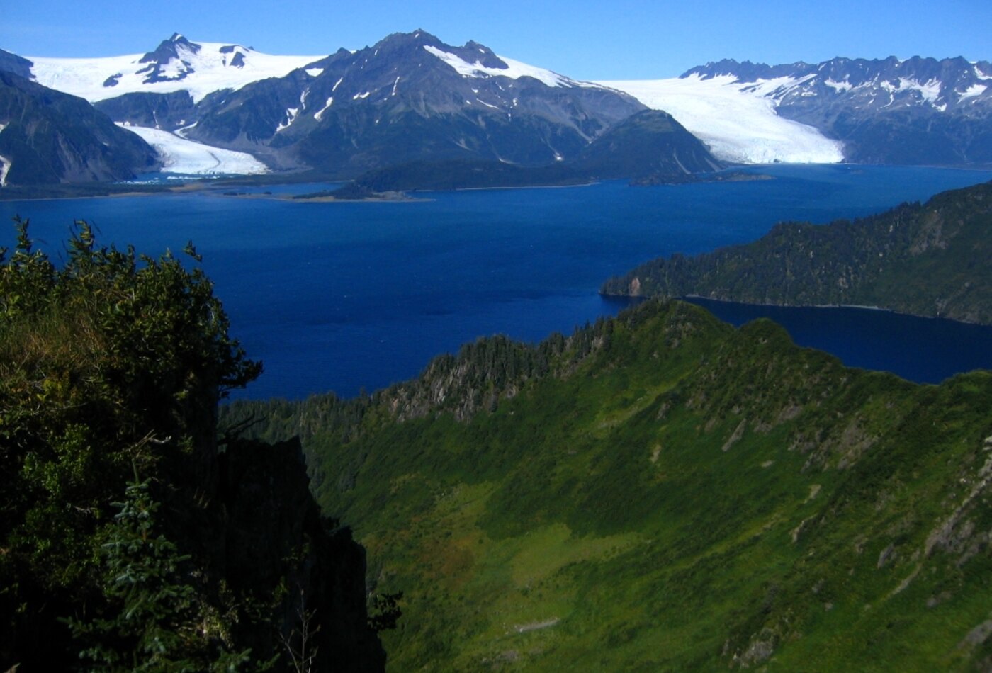 Kenai Fjords Alaska