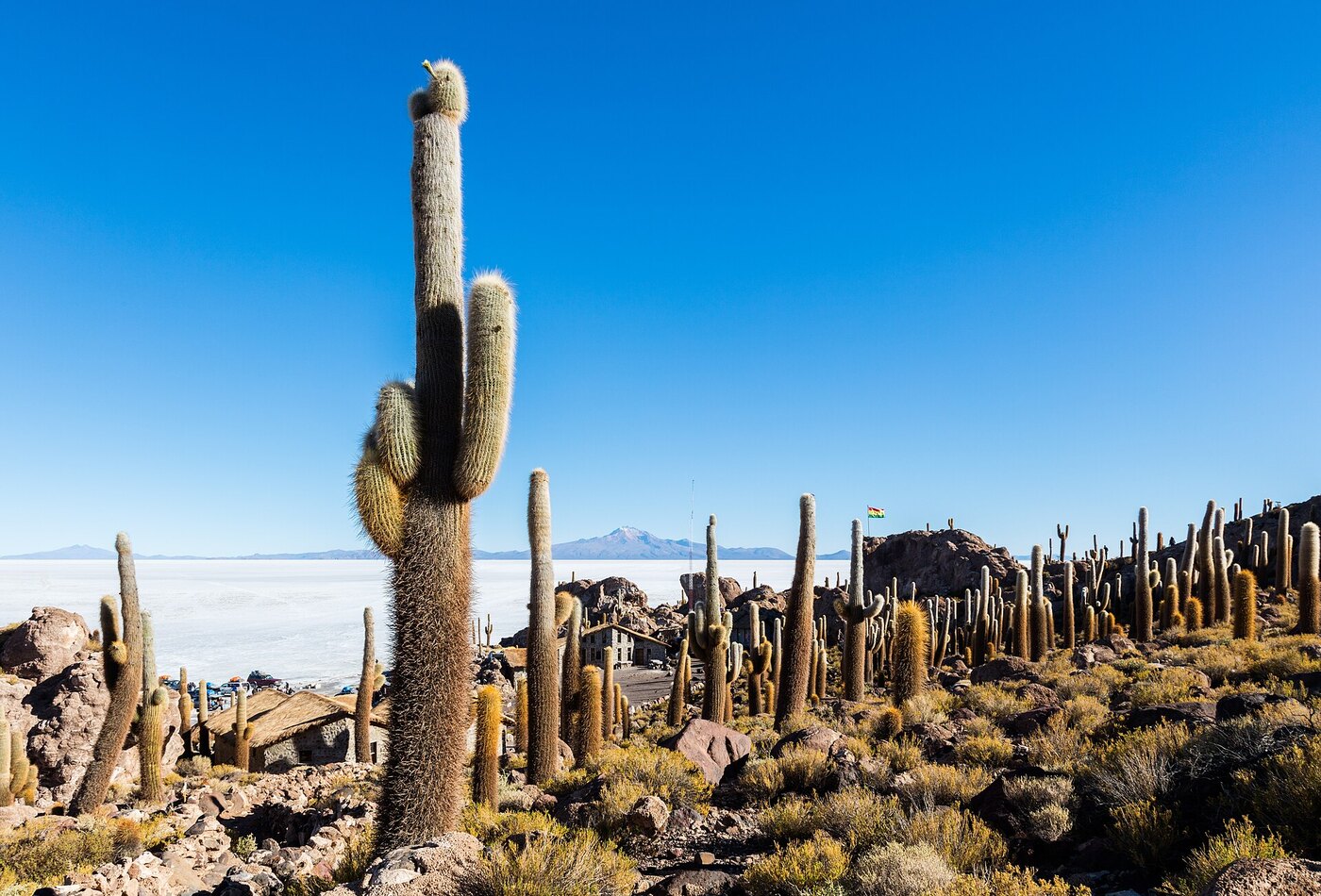 Isla Incahuasi Salar de Uyuni route