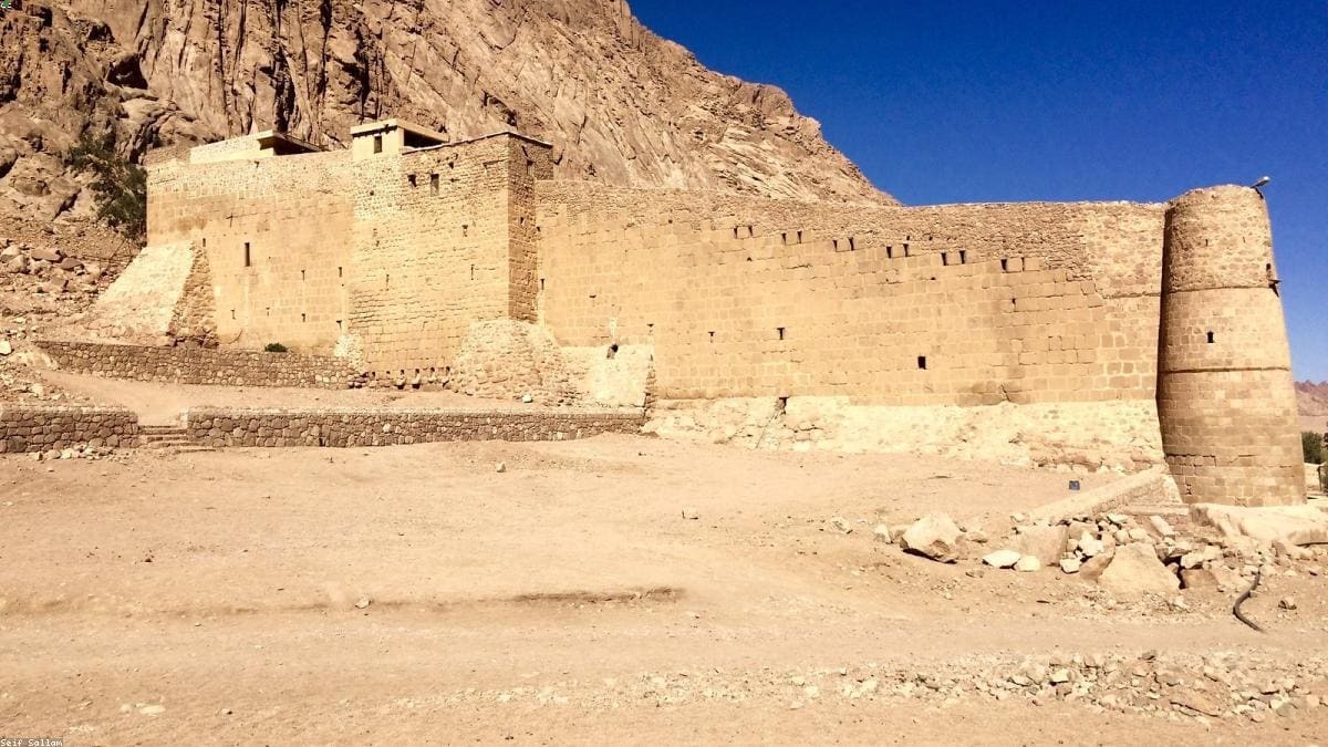 ОАЭ: Al Ain family stops