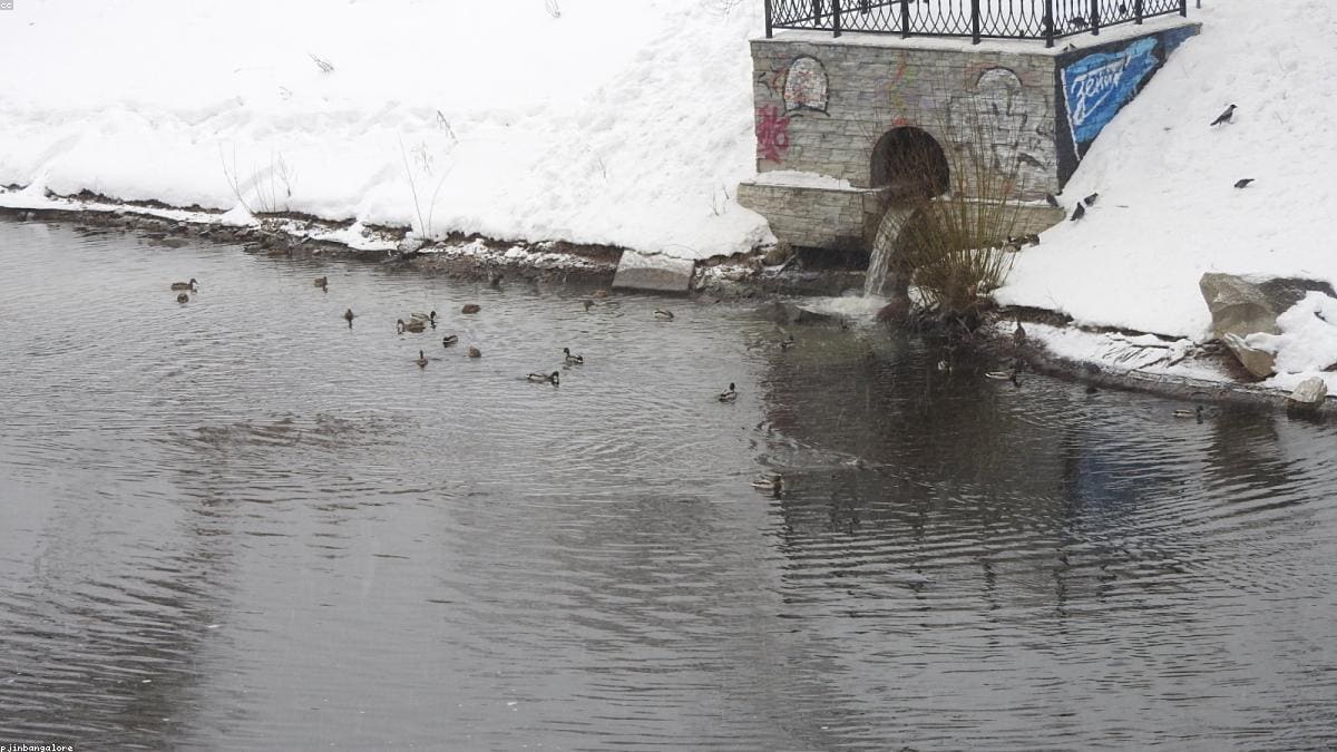 Москва: Коломенское и Царицыно