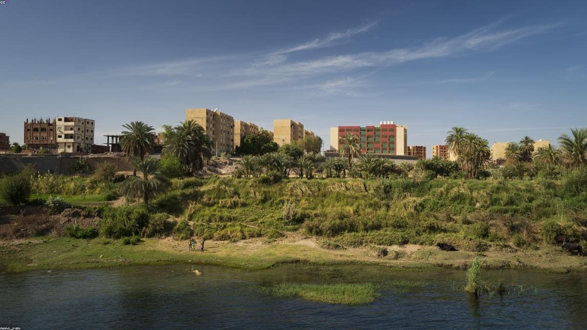 Западная пустыня и оазисы: Фаюм и Wadi El Rayan