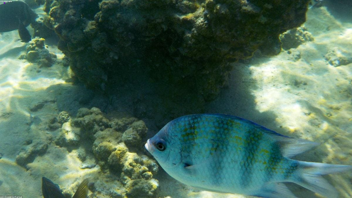 Таиланд: Андаман: Phuket, Krabi, Phi Phi, Khao Lak: Где находится регион и кому он подходит