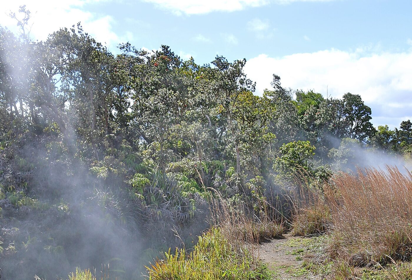 Kilauea Hawaii Volcanoes National Park