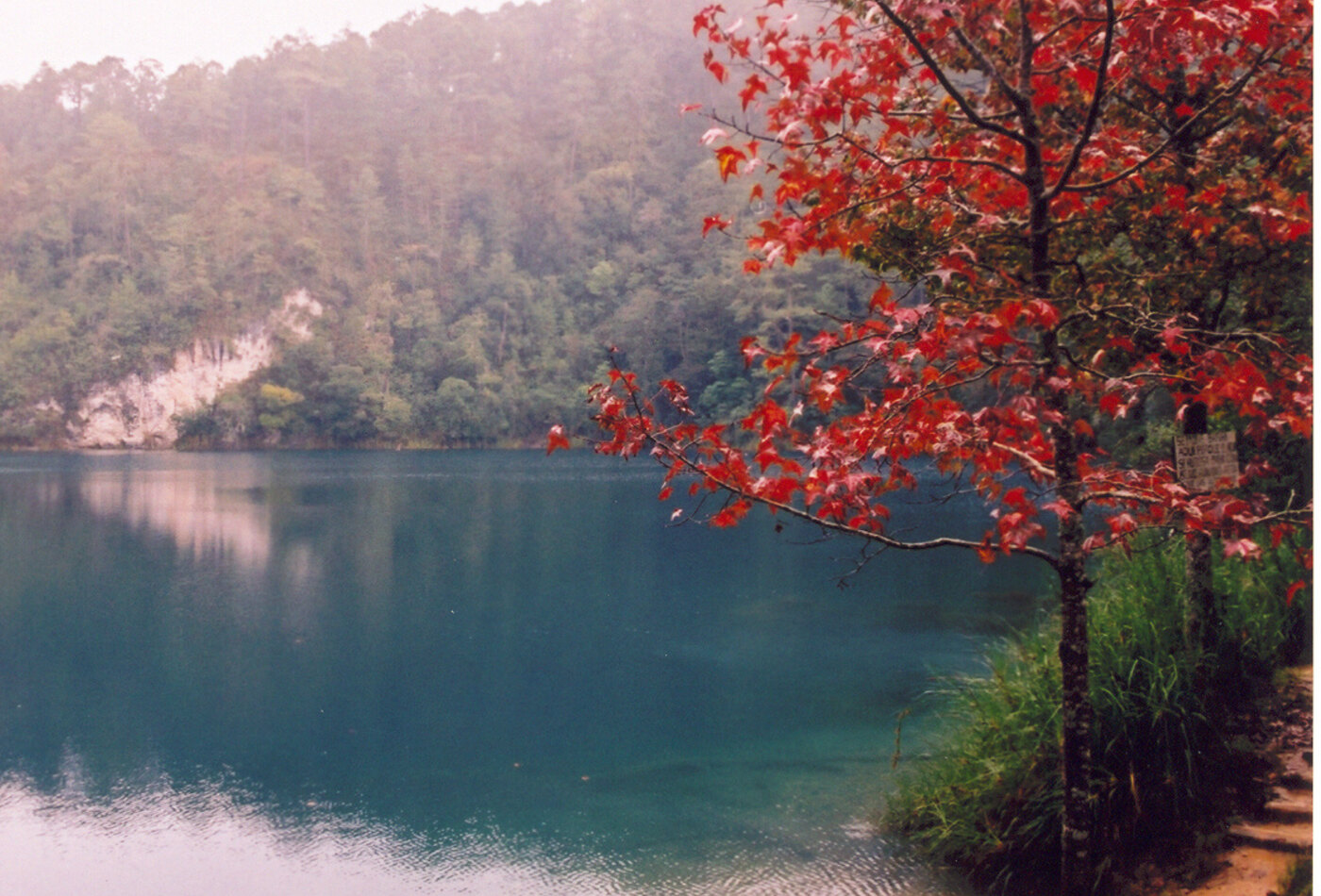 Дороги к Lagos de Montebello и южному Chiapas