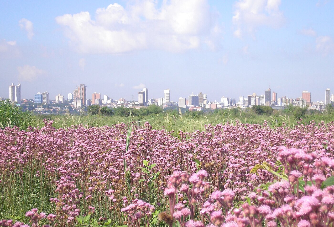 Asuncion Paraguay route