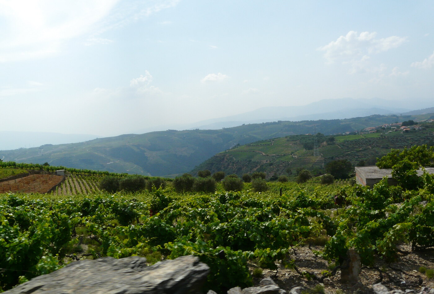 Douro Valley как расширение Portugal itinerary