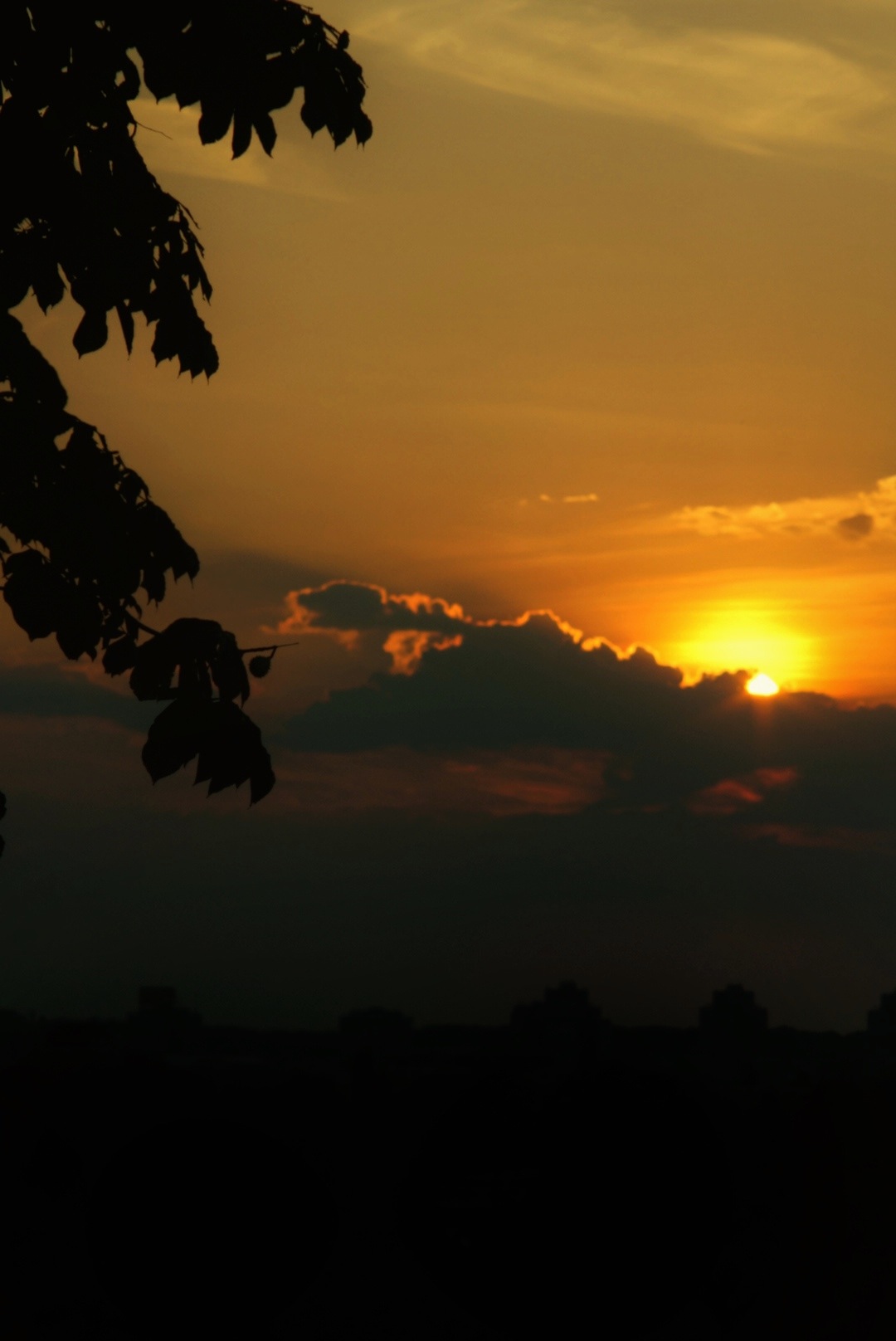 Belgrade Sunset, Сербия